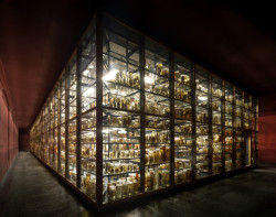 Rekonstrukce a rozšíření východního křídla Přírodovědného muzea, Berlín, 1995-2010 – sbírky