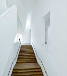 Caring Wood, James Macdonald Wright and Niall Maxwell, Foto