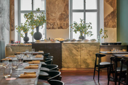 Podnik se již několik let těší velké oblibě a vytvořil si skupinu stálých zákazníků. Nejen proto si interiér restaurace říkal o „osvěžení“.