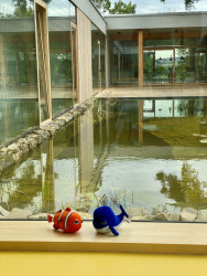 Pohled do atria (Dům pro Julli, ateliér Čtyřstěn)