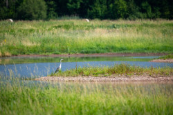 Nadace Partnerství zahájila přihlašování do pátého ročníku soutěže Adapterra Awards