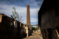 Lihovar před rekonstrukcí - příroda si jej postupně brala zpět (Transformace Lihovaru Smíchov; Black n´ Arch)