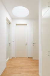 Atelier RAW, RD Kopretinová - foto