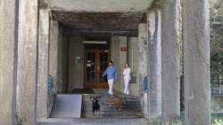 Od 21. března do 1. září bude v pražském CAMPu k vidění výstava Planeta Praha, která pozoruje město „očima“ rostlin a živočichů.