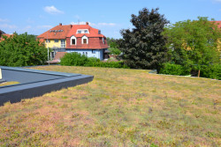 2. místo - Zelená střecha na mateřské škole v Opavě.