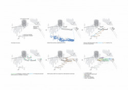 Zázemí rekreačního areálu Bachledka, Compass architekti, schéma