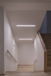 Pavilon IMPAKT MFF UK, majo architekti / Jan Jaroš, Štěpán Jablonský