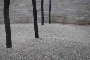 Kolumba Museum, Peter Zumthor