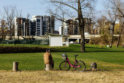 Institut plánování a rozvoje hl. m. Prahy zpracoval studii, která se věnuje spokojenosti a kvalitě života Pražanů
