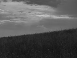 JANOŠÍK vydává knihu Krajina domovem jako oslavu svojí práce