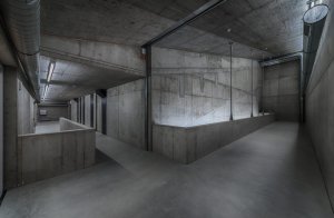 Ocenění Finalista získal projekt DOX+ od studia Petr Hájek architekti