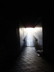 Labyrint v předpolí Hlávkova mostu – foto