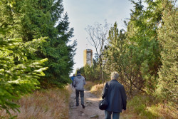 Účel rozhledny: přilákat turisty v létě a do lesů. Foto: Studio HCJ Hradec Králové