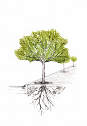 Praha sepsala novelu Pražských právních předpisů