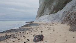 Pokud hledáme trvalou krásu, obracíme se pro inspiraci k přírodě, foto