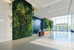 Vláknocementové desky mají využití v mnoha interiérech - v restauracích, galeriích, stanicích metra i doma. (na obrázku Wheaton Government Center v Marylandu v USA)