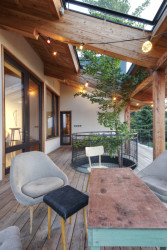 Terasou prorůstá strom ginkgo. (Dům Na větru, A1 architects)