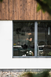 Vejminek, Michael Karnet