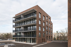 Studio Pelčák a partner architekti realizovalo v Brně dva bytové domy přímo pod svahy přírodní rezervace Červený kopec.