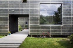 Pohled ze zadní zahrady, která slouží pro pěstování zeleniny.