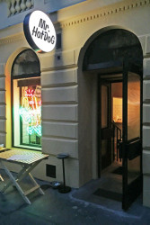 0,5 studio, Mr.HotDoG, Architekti z 0,5 Studia ponechali vchod a zádveří z 90. let. Typografii zpracoval Timur Akhmetov. - foto