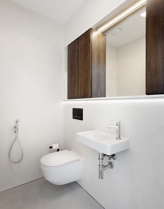 Rodinný dům Košinova v Brně, Mimosa architekti