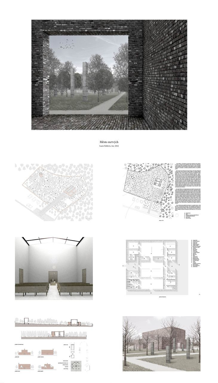 AOC / Lucie Feldová - foto