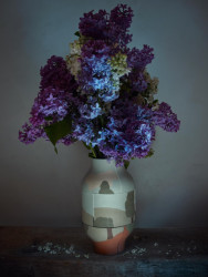 Od 26. do 28. května 2023 bude jihomoravský Mikulov hostit festival Křehký Mikulov. Na programu je designová přehlídka, tvůrčí workshopy i tradiční opékání buřtů