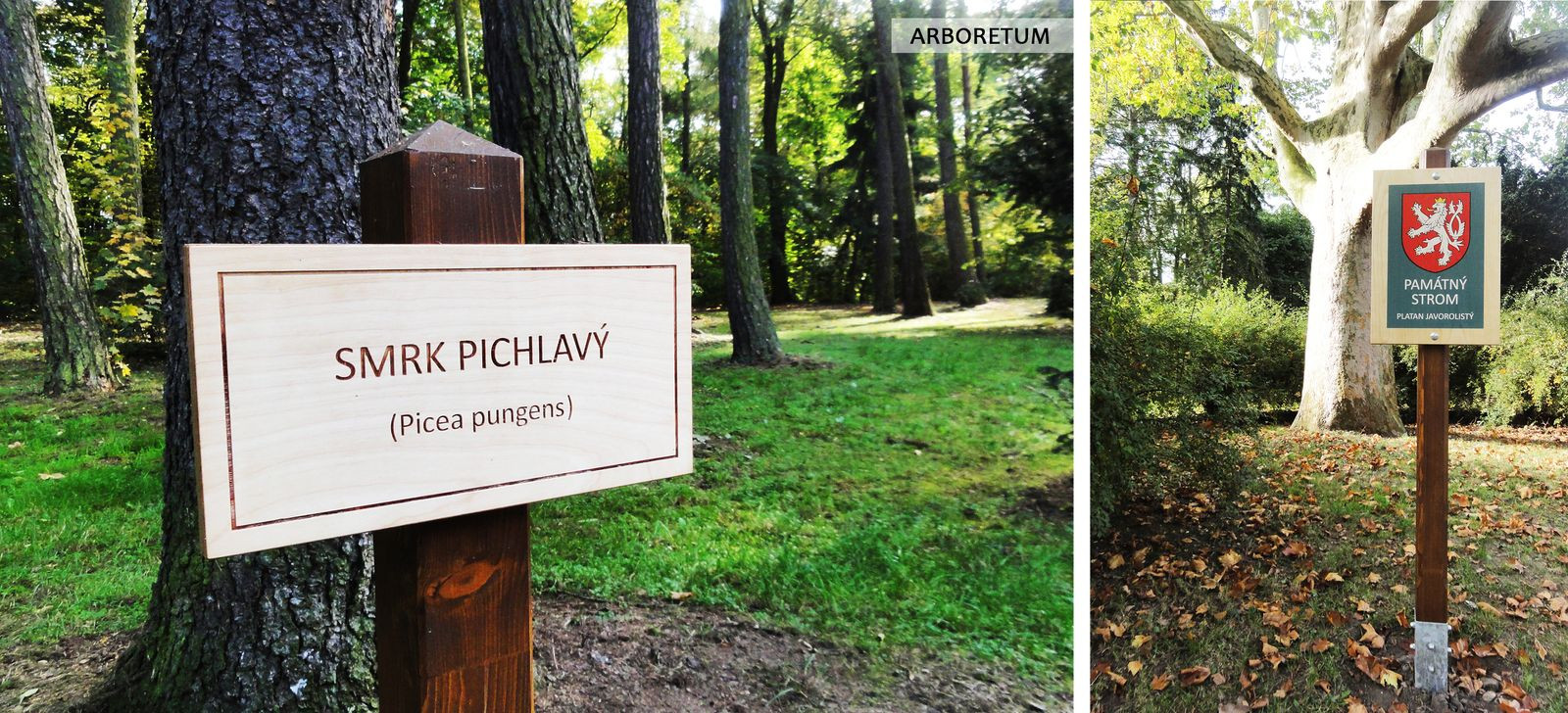 Naučná stezka v parku Štěpánka