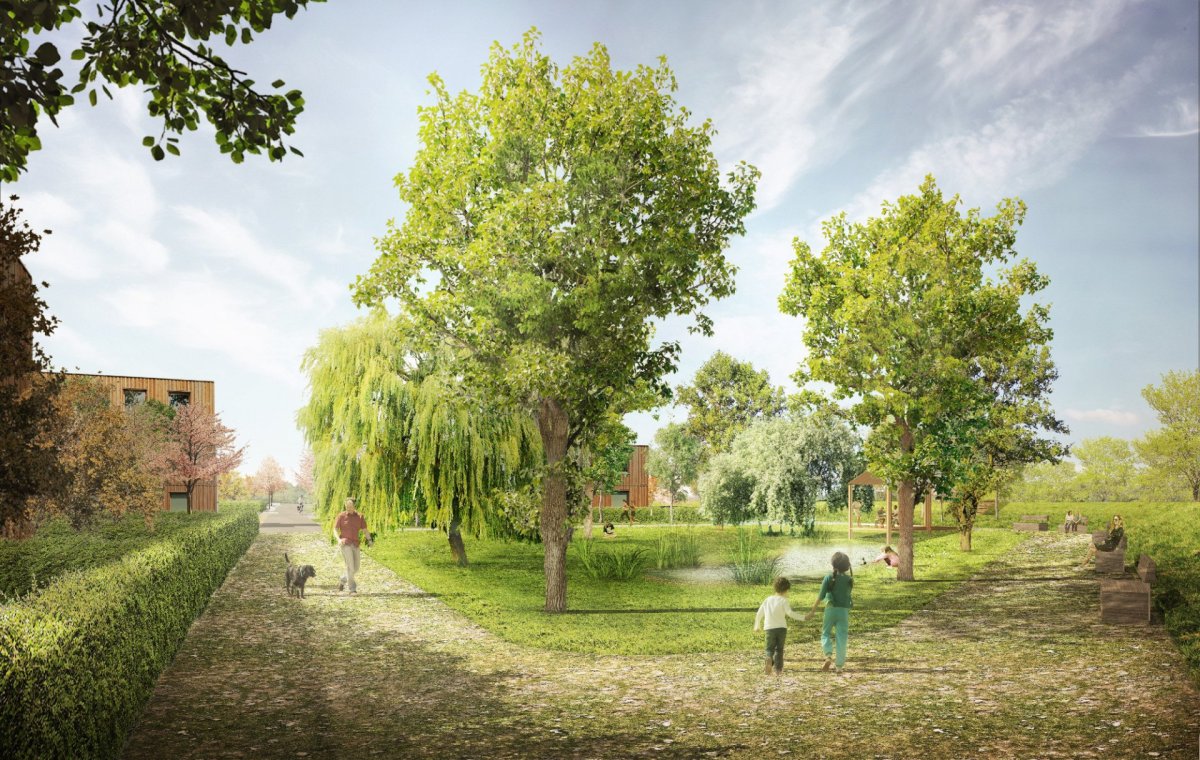 Návrh čtvrti Chytré Líchy v Židlochovicích, Pelčák a partner architekti, mokřad