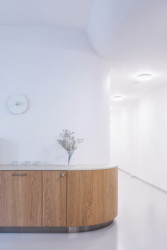 Kolem zaoblené stěny se vine na míru vyrobená dřevěná skříň s betonovou deskou.