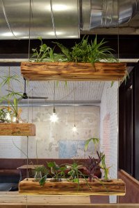 Street food bistro Pipca, mar.s architects