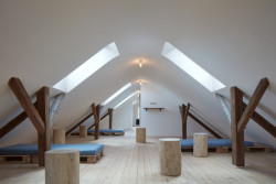 Rekonstrukce hostince Na Lisu v Brzánkách, Jan Veisser: Zaoblené podkroví je ponecháno jako otevřený prostor vhodný k přenocování většího počtu přátel nebo třeba ke cvičení jógy
