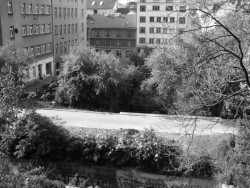 Tachovské náměstí před rekonstrukcí (Tachovské náměstí v Praze, OVA)