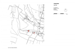 Caring Wood, James Macdonald Wright and Niall Maxwell,