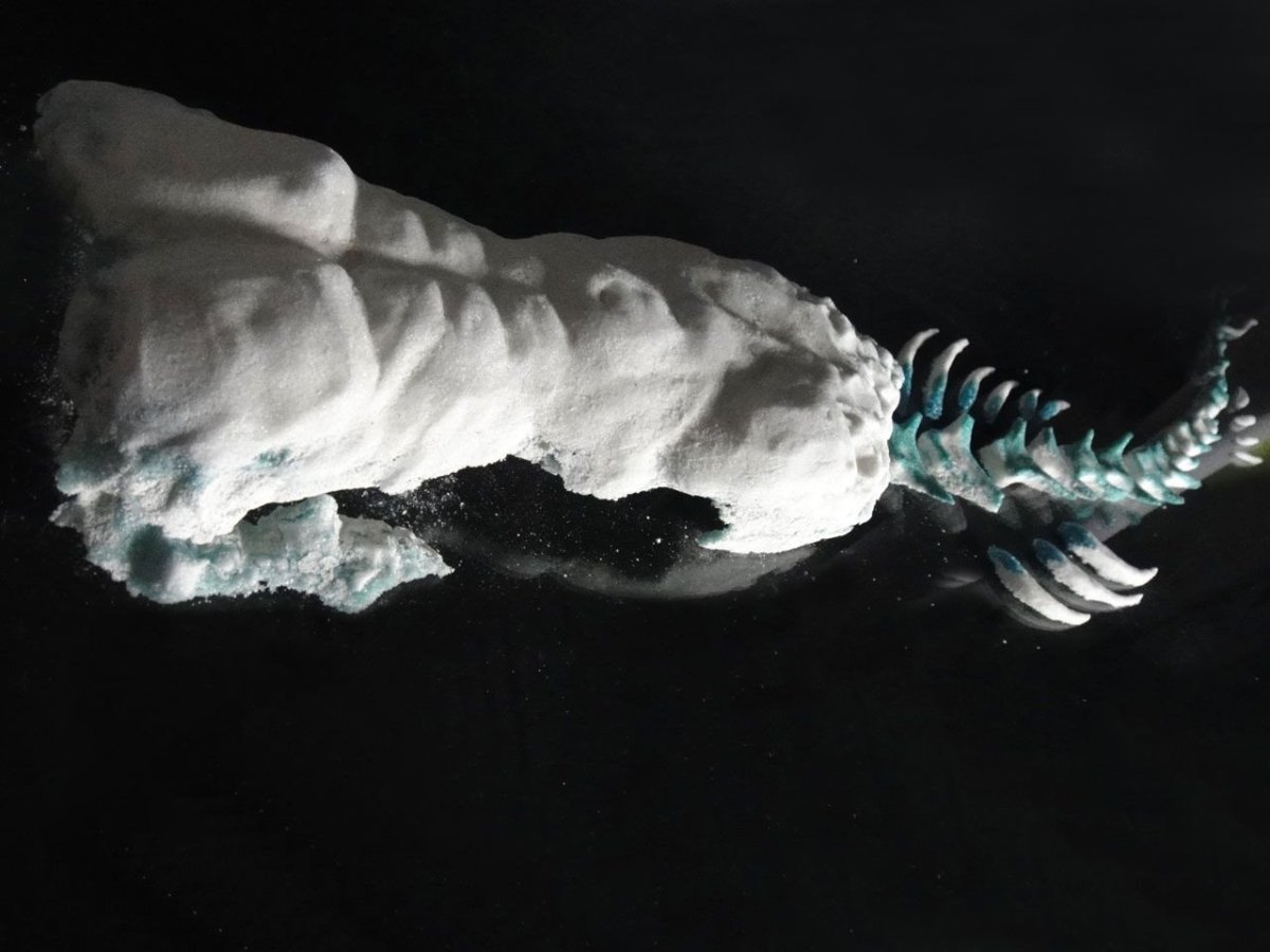 Stanislav Libenský Award 2016, Ye Lin – foto