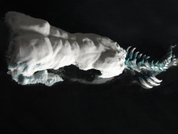 Stanislav Libenský Award 2016, Ye Lin – foto