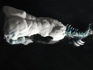 Stanislav Libenský Award 2016, Ye Lin – foto