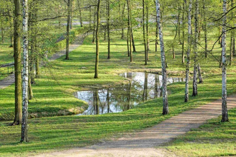 Lochotínský park © Václav Čubr