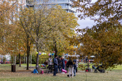 Institut plánování a rozvoje hl. m. Prahy zpracoval studii, která se věnuje spokojenosti a kvalitě života Pražanů