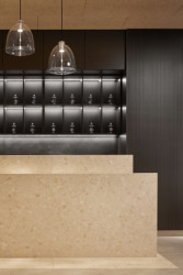 Wellness centrum lázní Aurora v Třeboni, Plus One Architects: Pohled do recepce