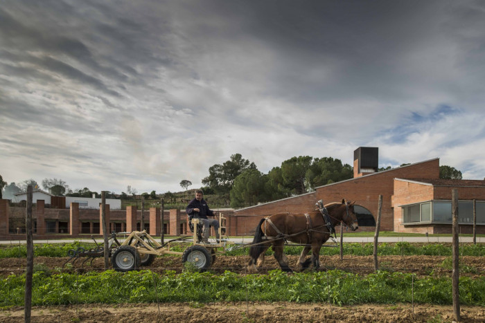 Rozšíření rodinného domu ve Španělsku, Vidal i Solanes arquitectes