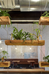 Street food bistro Pipca, mar.s architects