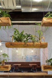 Street food bistro Pipca, mar.s architects