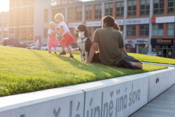 Ellement, Revitalizace Gahurova prospektu – foto