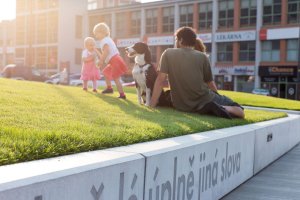 Ellement, Revitalizace Gahurova prospektu – foto