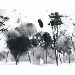 Hranice, Kristina Roman.