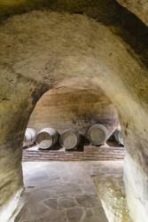 Vinný sklep Konice, Tomáš Dvořák architekti