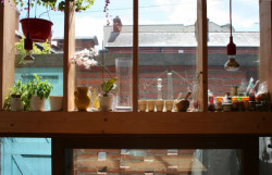 Magennis Square, TAKA architects,