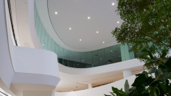 Z estetického hlediska umožňuje protipožární sklo Pyrobel Vision Line 54 volný a ničím nerušený výhled, jelikož nemá viditelné svislé spoje, ale jednotlivé skleněné tabule jsou spojeny transparentní silikonovou spárou. (Administrativní budova BNP Paribas Fortis Montagne du Parc v Bruselu)